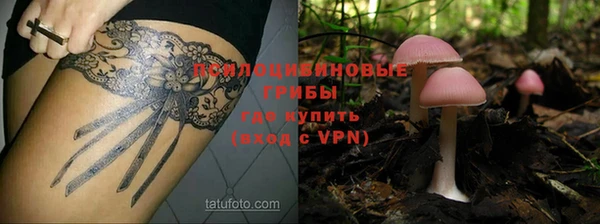 a pvp Бронницы