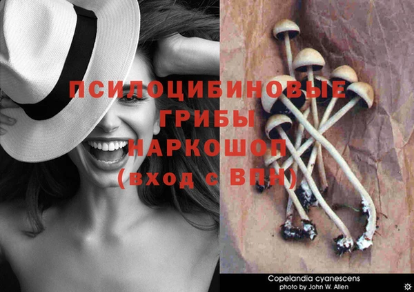 соль ск Верхний Тагил