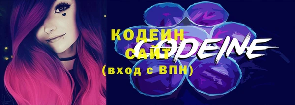 соль ск Верхний Тагил