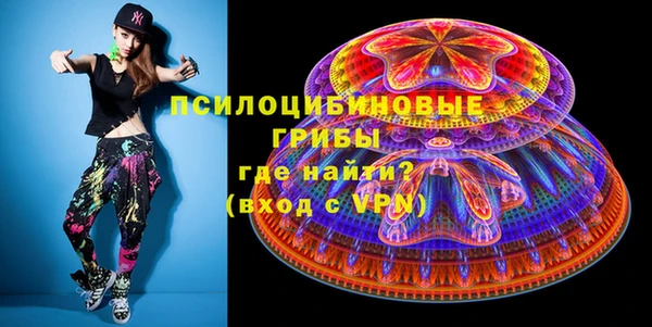 соль ск Верхний Тагил