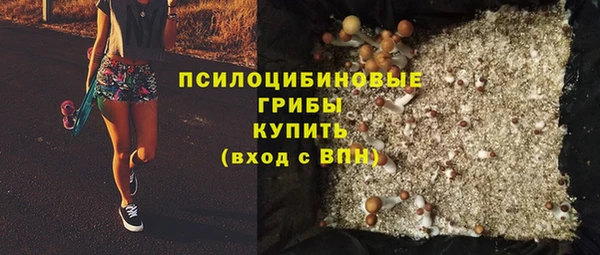 соль ск Верхний Тагил