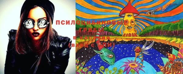 соль ск Верхний Тагил