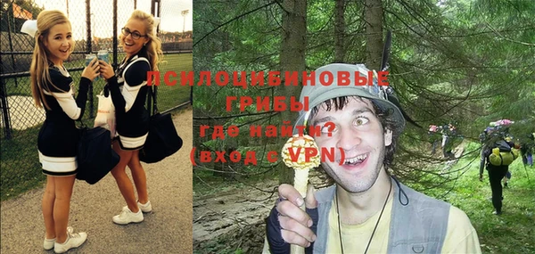 бошки Верхнеуральск