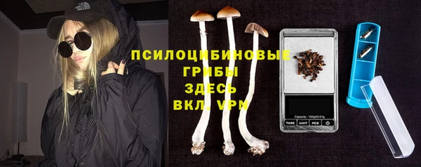 соль ск Верхний Тагил