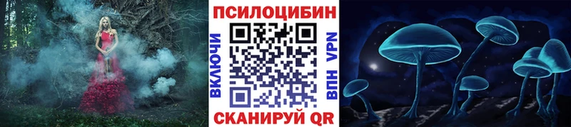 Галлюциногенные грибы Psilocybe  Махачкала 